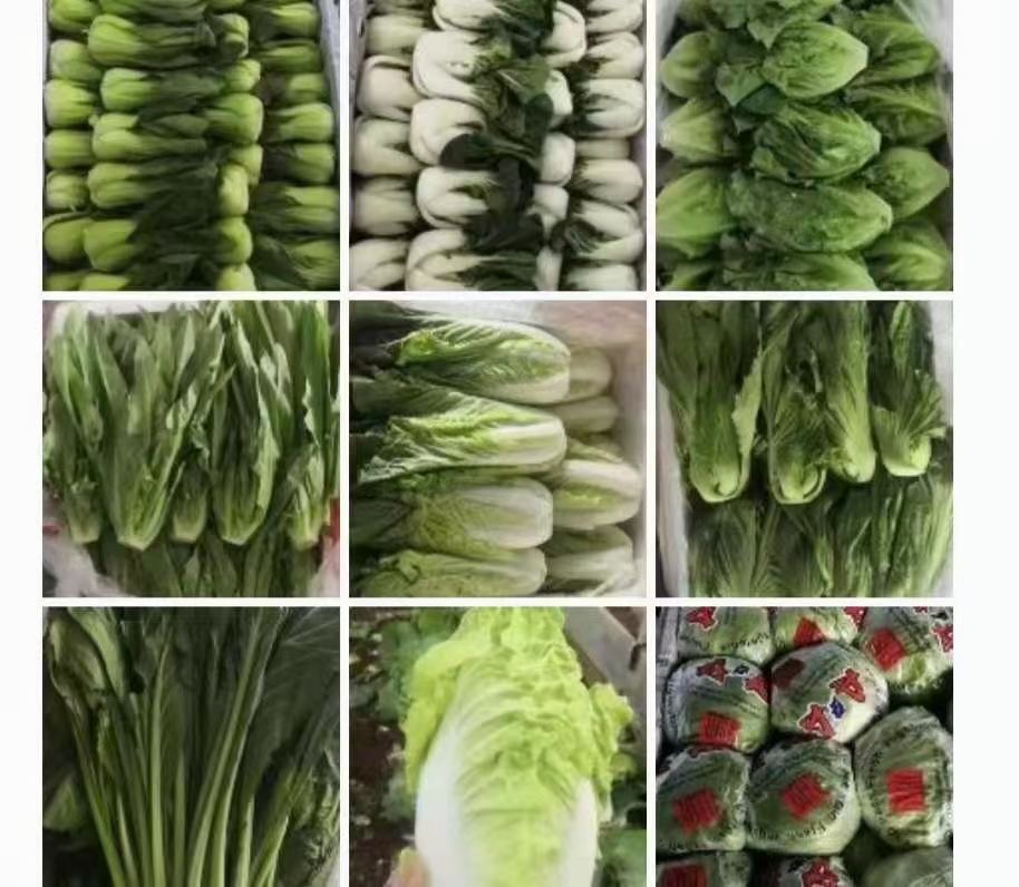为什么中大型的公司喜欢食材配送模式
